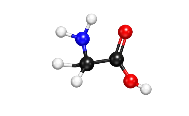 L-Lysine